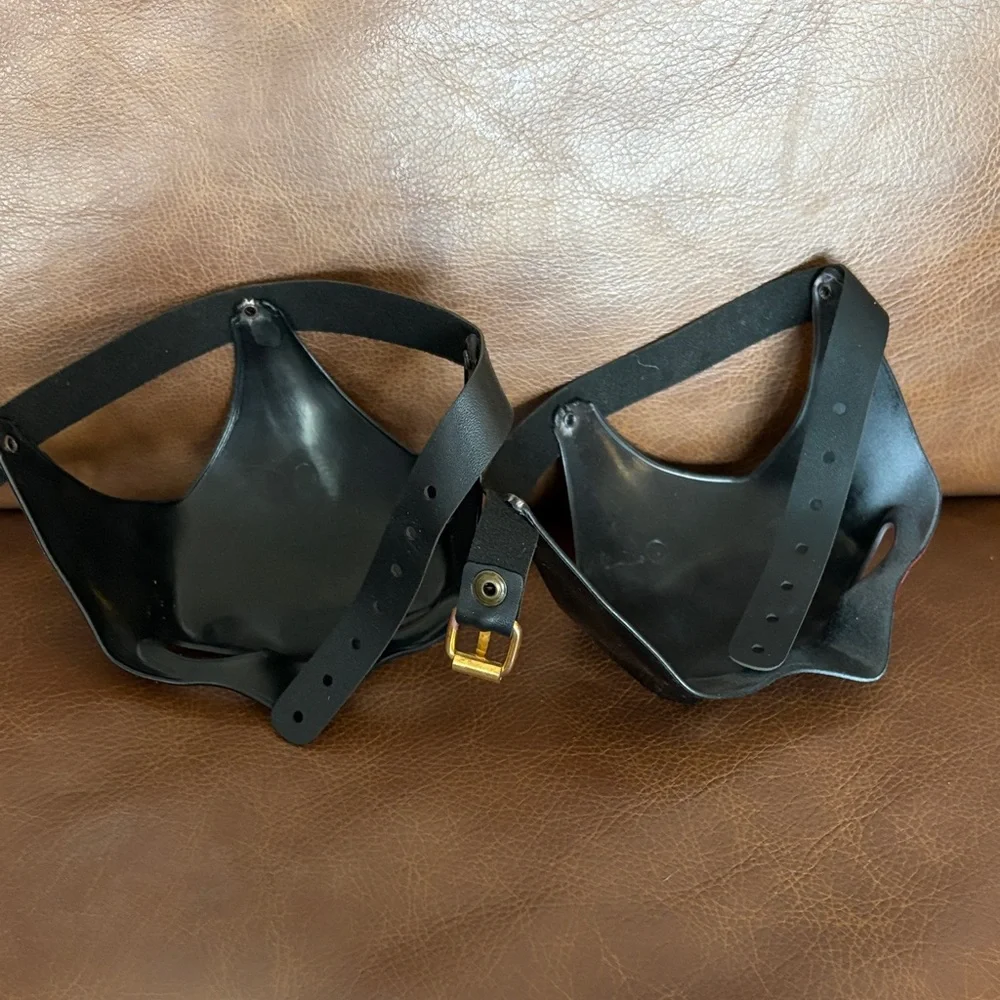 2pcs Cat Bat Mask and Pet Dress up Headdress